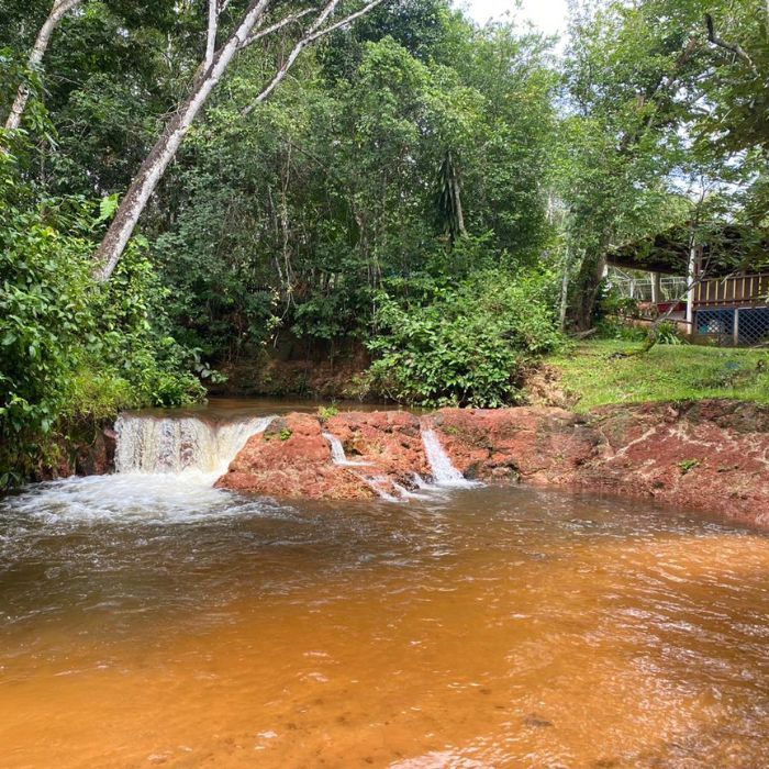 Aldeia do Leão - Chapada das Mesas