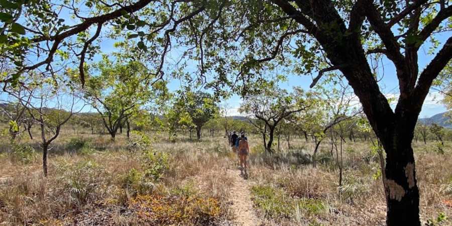 Trilha dos Guardiões - Chapada das Mesas